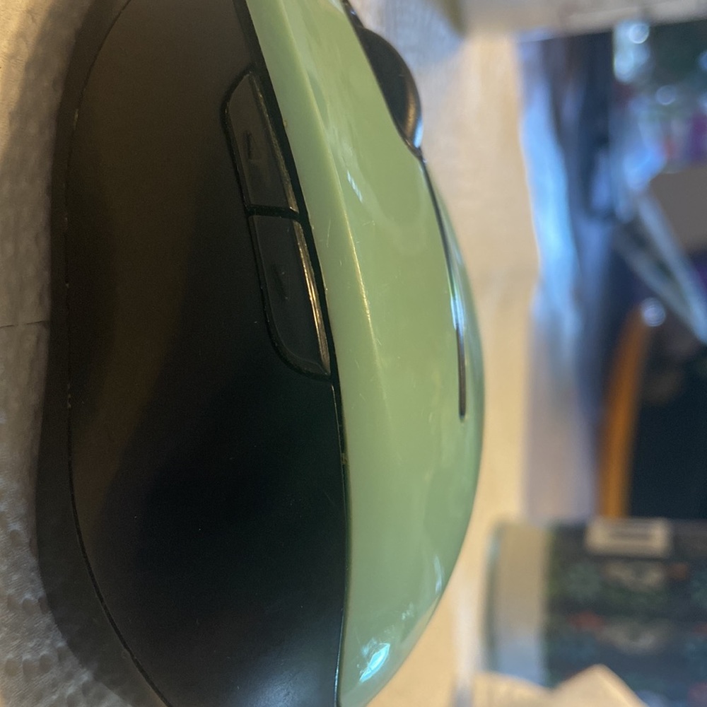 Mouse